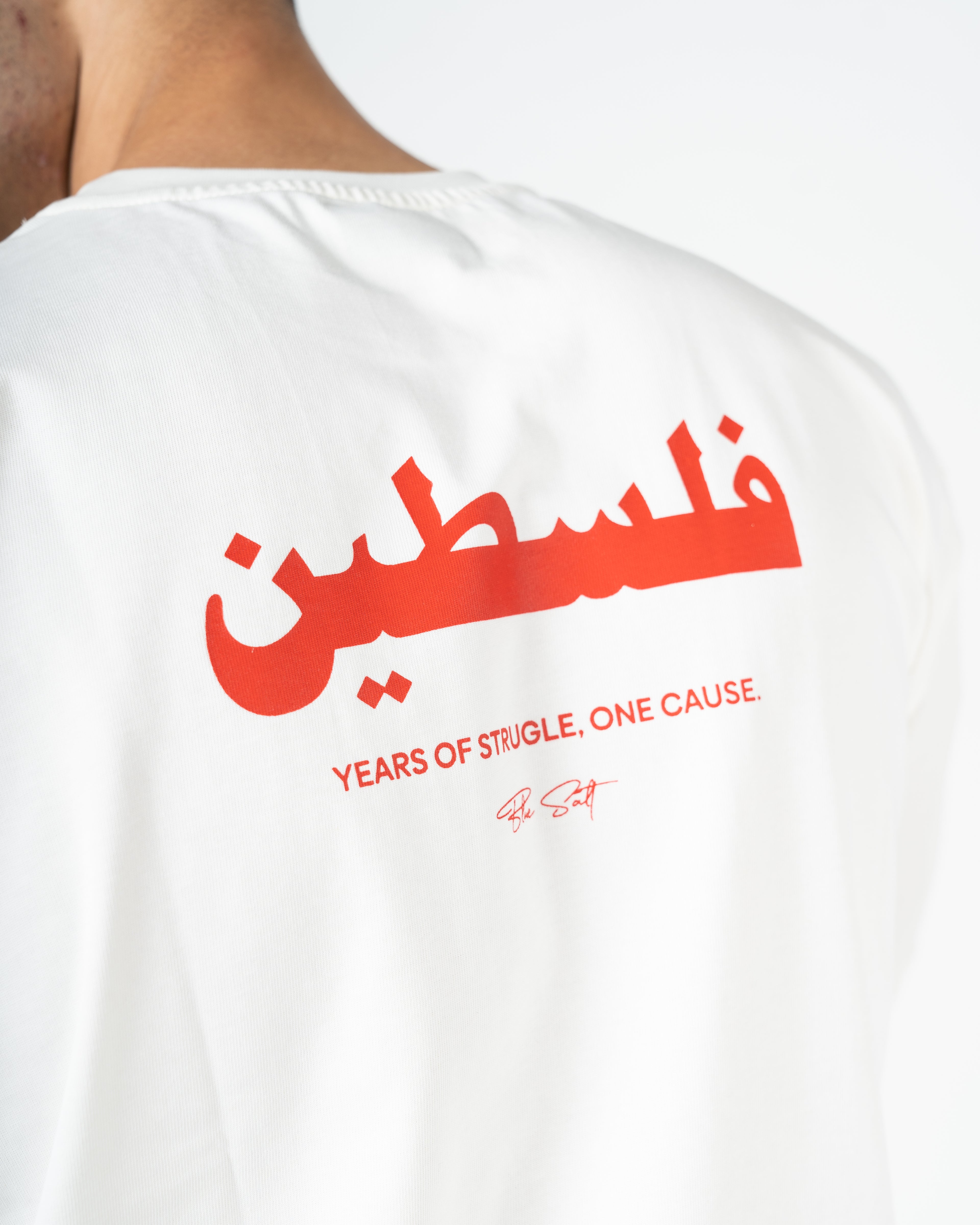 Oversized box fit "palestine 1948"